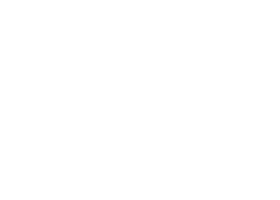 Изображение гладиатор